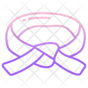 Black Belt Icon
