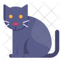 Cat Kitty Black Cat Icon