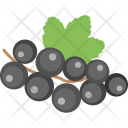 Currant Bilberries Blueberries Icon