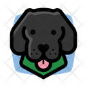 Black Dog Labrador Black Icon