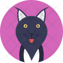 Feline Cat Domestic Icon