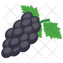 Black Grapes Concord Icon