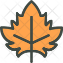 Black Maple Icon