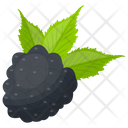 Black Raspberry Raspberry Berry Fruit Icon