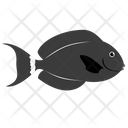 Black Surgeon Fish Sea Creature Animal Icon