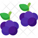 Blackberries Icon