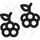 Blackberries Icon