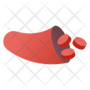 Blood Vessel Icon
