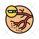 Blood Vessels  Icon