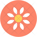 Bloodroot Flower Spring Icon