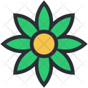 Bloodroot Icon