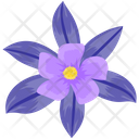 Bloodroot Flower  Icon
