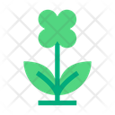Blooming Flower Flower Nature Icon