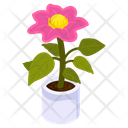 Blooming Flower Icon