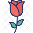 Blossom Flower Red Rose Icon