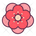 Blossom Flower Peach Icon