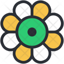 Blossom Daisy Flower Icon