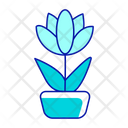Blossom Blooming Flower Icon