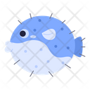 Blowfish  Icon