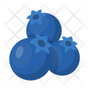 Blue Berries Icon