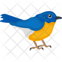 Blue Bird Blue Sparrow Canadian Sparrow Icon
