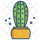Blue Columnar Cactus Cactus Pot Cactus Plant Icon
