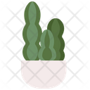 Blue Columnar Cactus Nature Gardening Icon