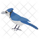 Blue Jay Vector Art, Icons, and Graphics for Free Download