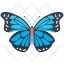 Blue Morpho Butterfly Icon
