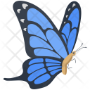 Blue Morpho Butterfly Icon