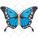Blue Morpho Butterfly Icon