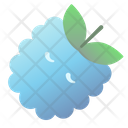 Blue Raspberry Icon