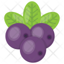 Blueberries Raspberry Purple Icon