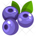 Blueberry Icon