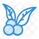 Blueberry Food Fruits Icon