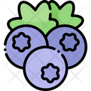 Blueberry Fruit Healthy Food Icon