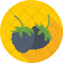 Blueberry Fruit Berry Icon