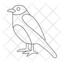 Bluebird Icon