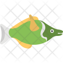 Bluegill Freshwater Fish Icon