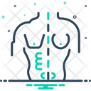 Body Corporality Human Icon