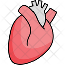 Body Part Cardiology Heart Icon