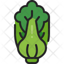 Bok Choy Vegetable Cabbage Icon