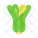 Bok Choy Chinese Superfood Icon