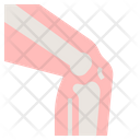Bone Examination Icon