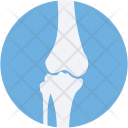 Bone Joints Icon