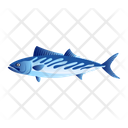 Bonito Fish Icon