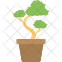 Bonsai Indoor Plant Icon