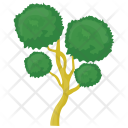 Bonsai Pine Icon