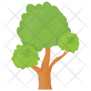 Bonsai Tree Icon
