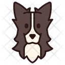 Border Collie Dog Puppy Icon
